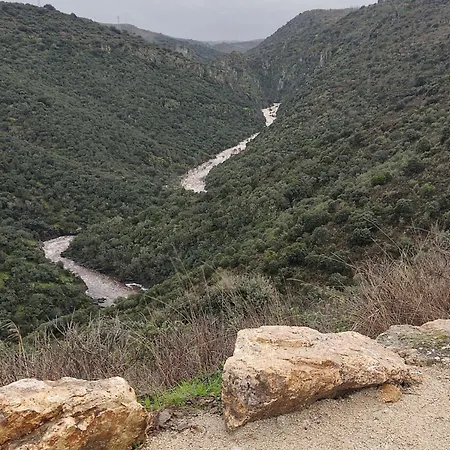 Era De Trigales Masueco